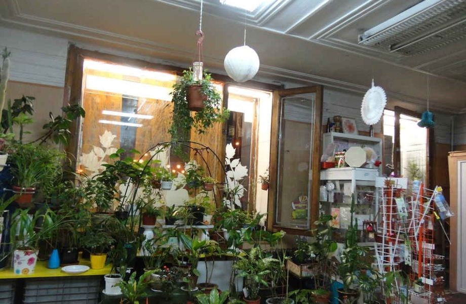 Фото 3 Цветочный магазин с быстрой окупаемостью