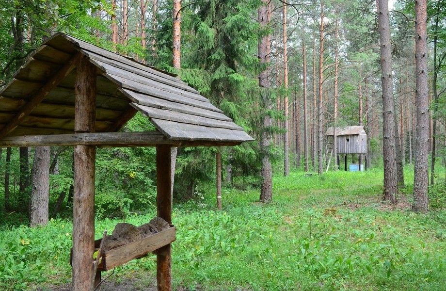 Фото 1 ППА Охотничьих угодий