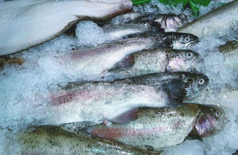Фото 3 Традиционный магазин продуктов в Петроградском районе