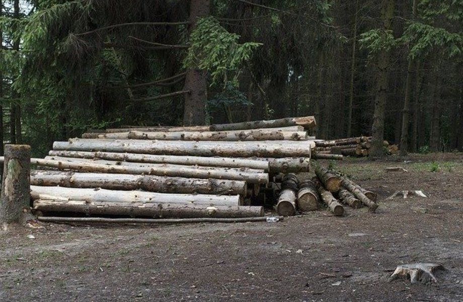 Деревообрабатывающее прозводство в городе Киров