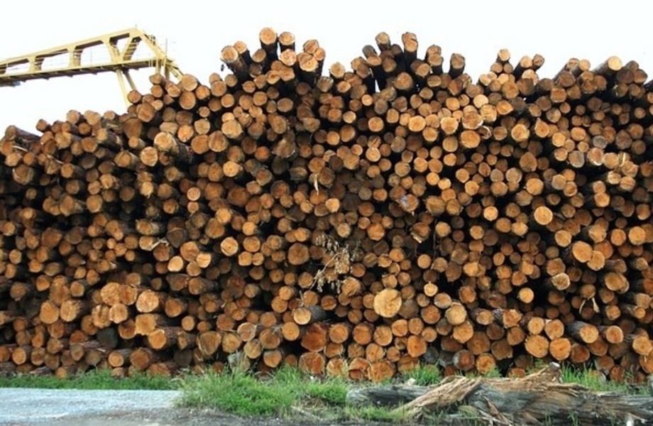 Деревообрабатывающее прозводство в городе Киров