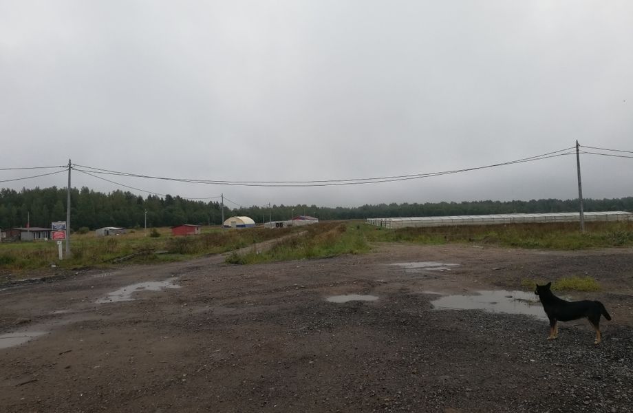 Фото 4 Фермерское хозяйство с новым оборудованием