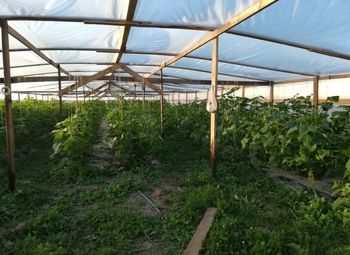 Фото Фермерское хозяйство с новым оборудованием