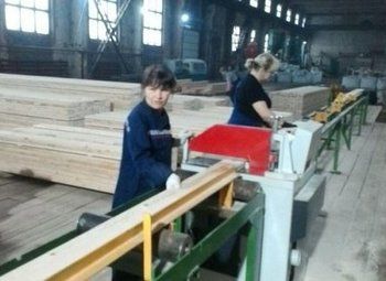 Фото Деревообрабатывающее производство полного цикла (5 лет) ДОЛЯ