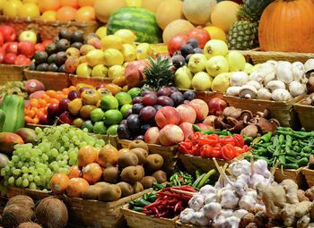 Фото Фрукты Овощи павильон