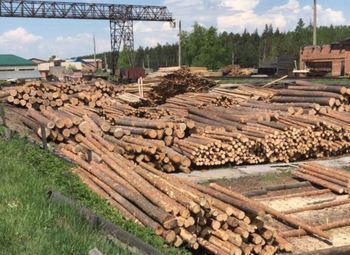 Леспромхоз в Тверской области \ 50 лет