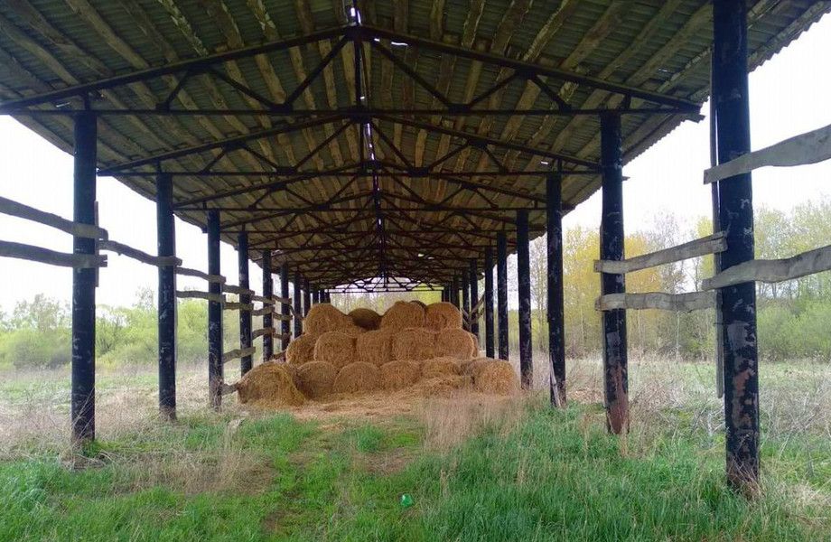 Обширные с/х угодья для животноводческого хозяйства