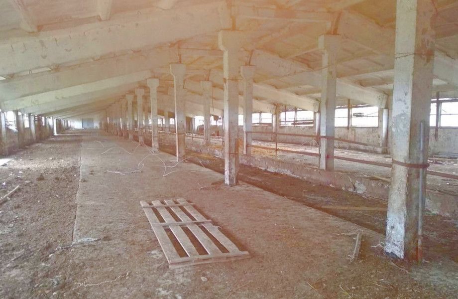 Фото 2 Калуга.Основа животноводческого комплекса на 1200 коров с землей