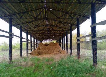 Фото Калуга.Основа животноводческого комплекса на 1200 коров с землей