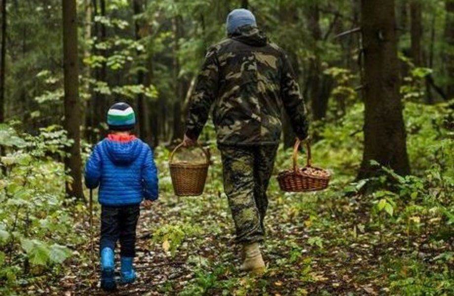 Фото 1 База отдыха на берегу реки \Под дальнейшее развитие