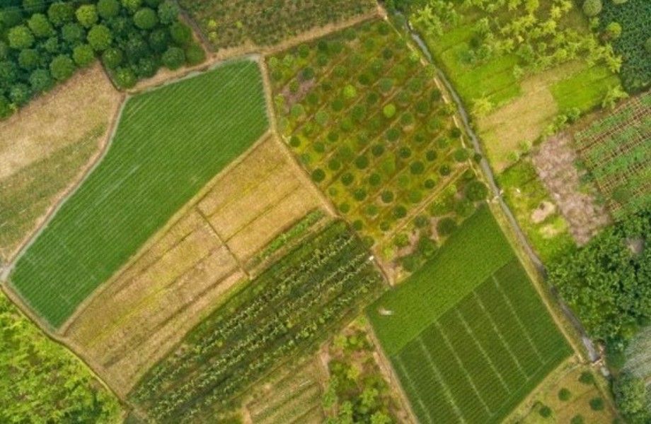 Фото 2 Земельный участок на севере ЛО под коттеджный поселок/ 12.5 ГА