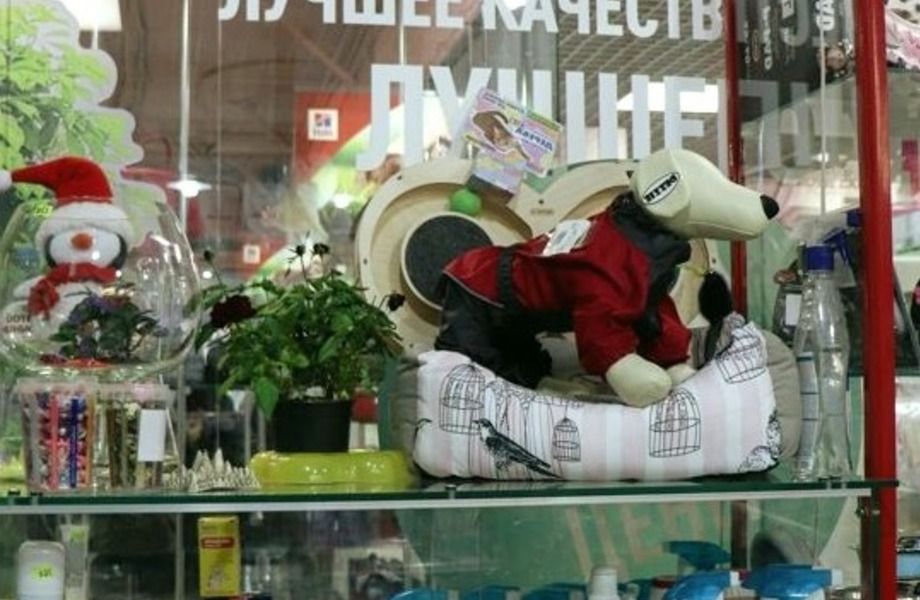 Зоомагазин (бизнесу 7 лет)/У метро