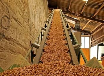 Производство пеллет в ЛО (мощность - 3 тонны/час.)