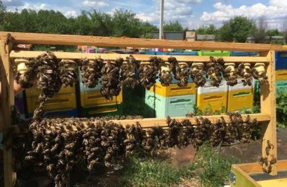 Пасека со всем необходимым под ключ. Любые запросы и обороты. 