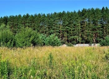 Участок с прекрасным видом и перспективами в с. д. Дятлицы / КФХ 10Га