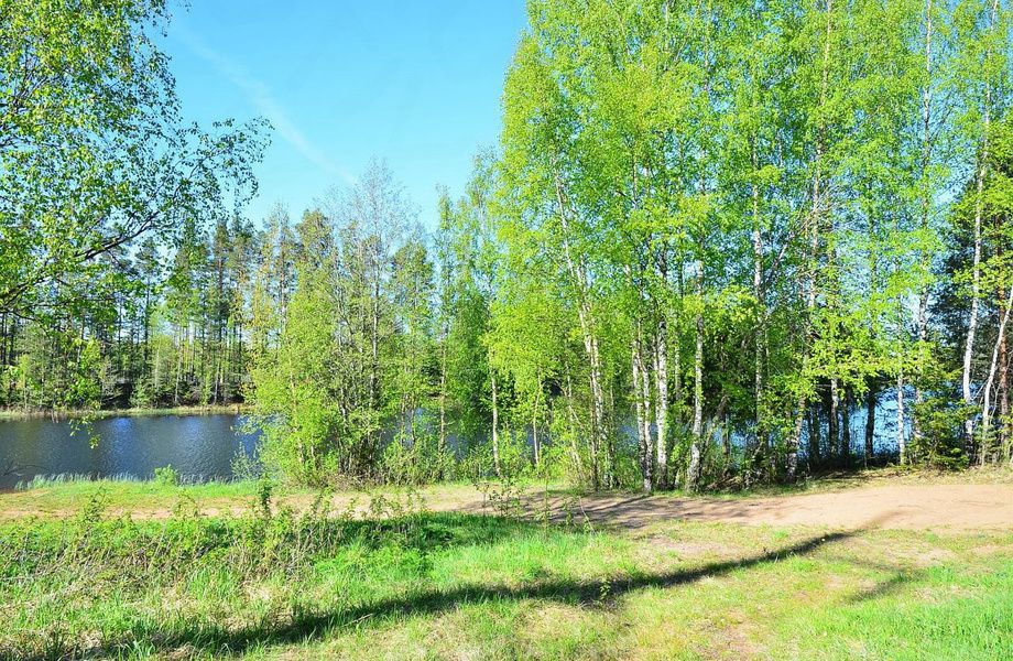 Фото 1 Участок с прекрасным видом и перспективами в с. д. Дятлицы / КФХ 10Га