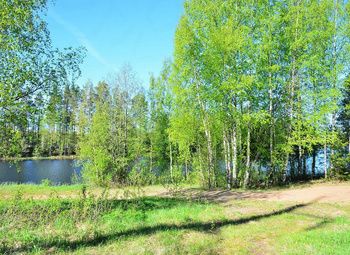 Фото Участок с прекрасным видом и перспективами в с. д. Дятлицы / КФХ 10Га