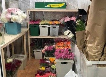 Фото Розничный магазин цветов с низкой арендой и интернет-сайтом