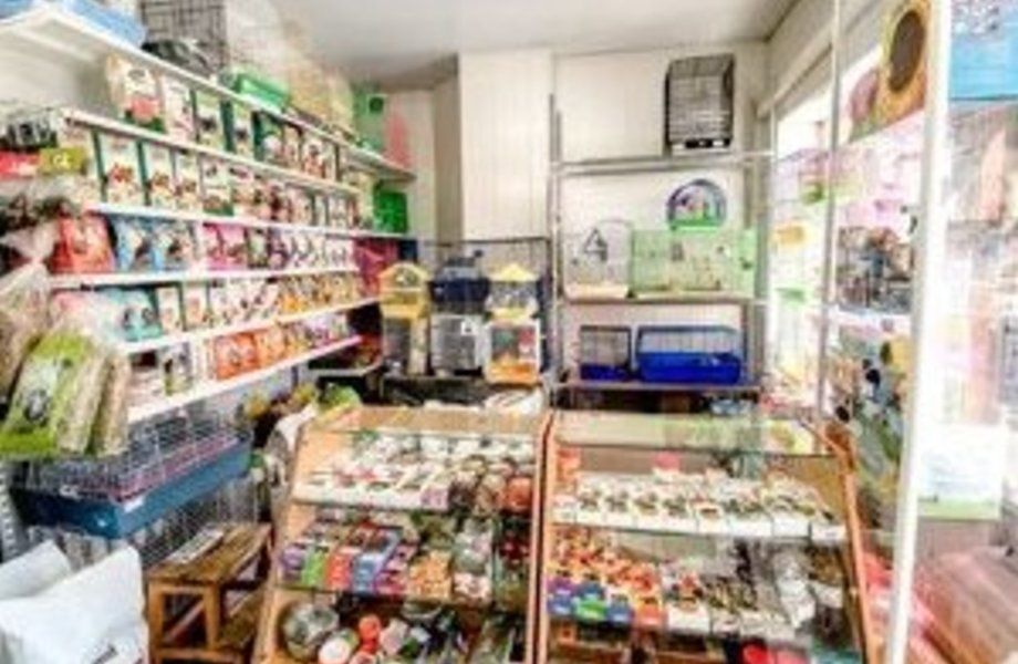 Зоомагазин без конкурентов и с 10-летним опытом работы