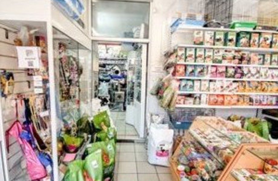 Зоомагазин без конкурентов и с 10-летним опытом работы
