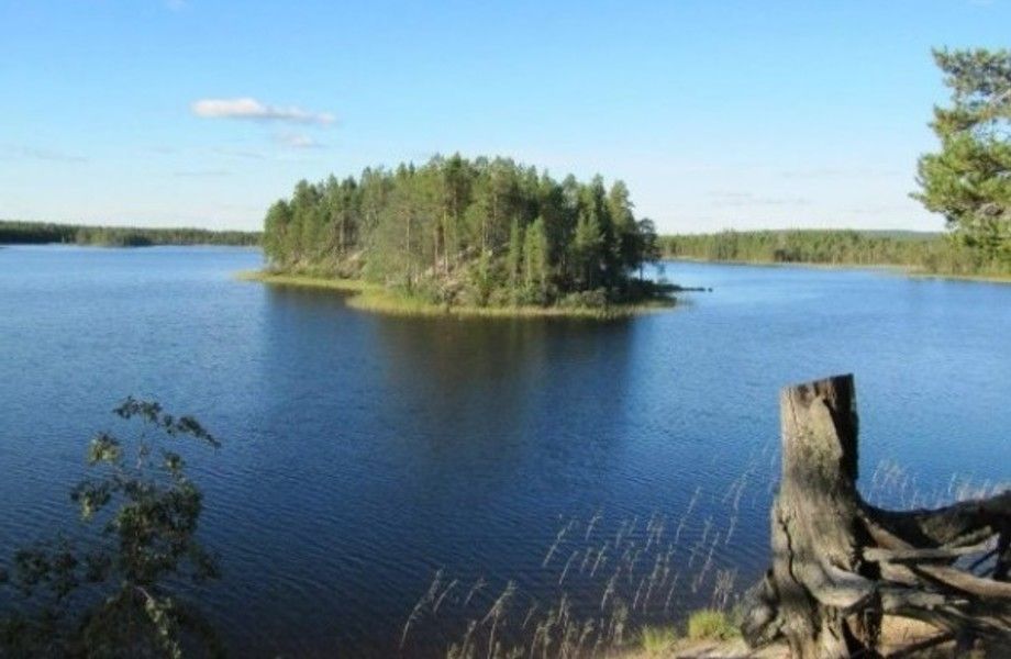 Фото 3 Земля в собственность для базы отдыха на севере ЛО / 8 га
