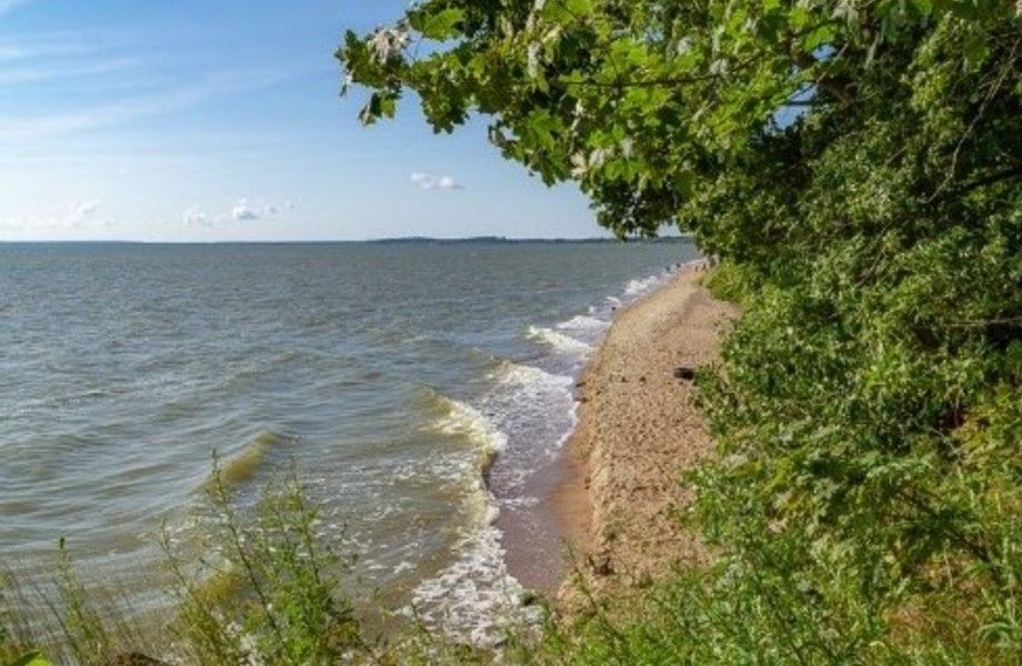 Фото 2 Земельный участок на берегу залива (8 га) / Калининград