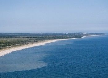 Фото Земельный участок на берегу залива (8 га) / Калининград