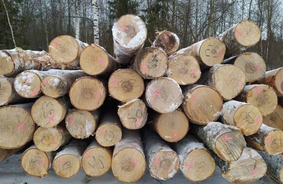 Лесоперерабатывающий комбинат в подмосковье 