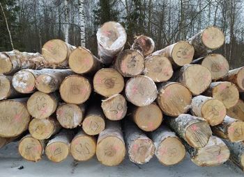 Лесоперерабатывающий комбинат в подмосковье 