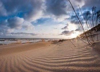 Фото Земельный участок на берегу залива (г. Калининград)