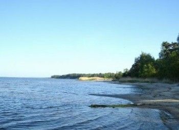 Фото Земельный участок на берегу (Калининградский залив)