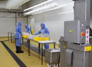 Фото 2 Производственный цех в пищевой отрасли