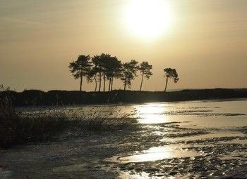 Земельный участок на берегу Калининградского залива 