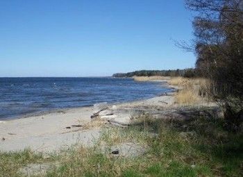 Фото Земельный участок на берегу Калининградского залива