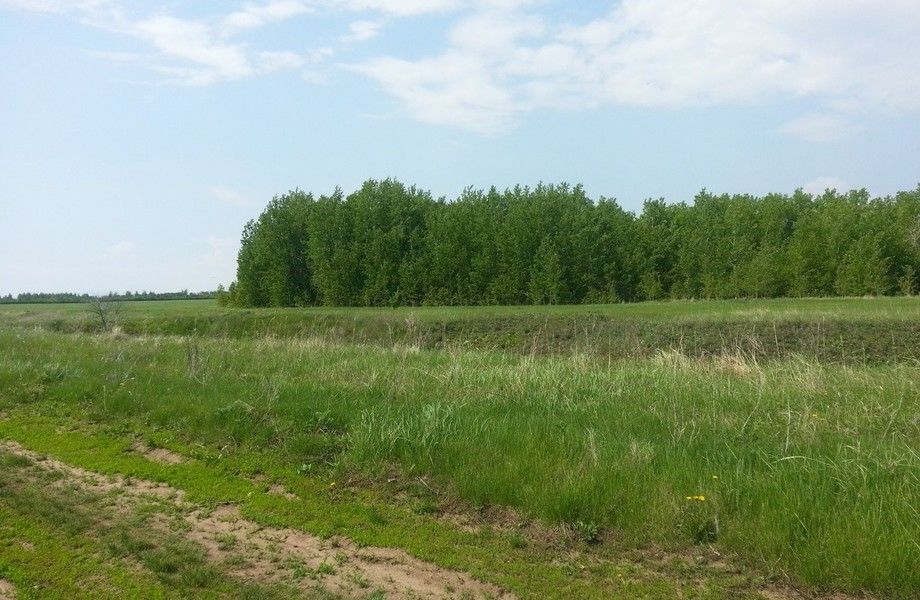 Фото 1 Земельный участок промышленного назначения в ЛО