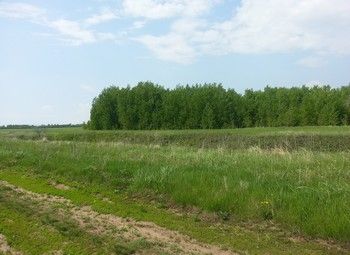 Фото Земельный участок промышленного назначения в ЛО