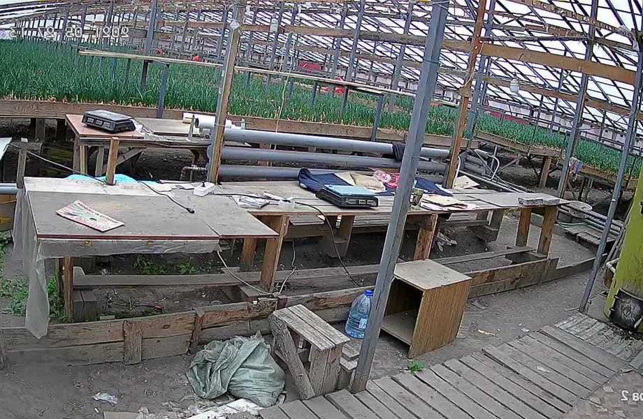 Теплица в аренду / 10 км. от КАД, юг