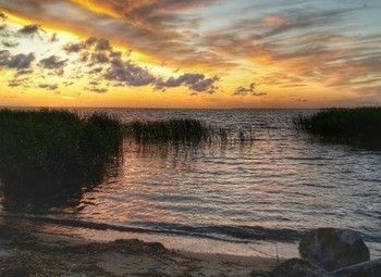 Фото Земельный участок / на берегу залива