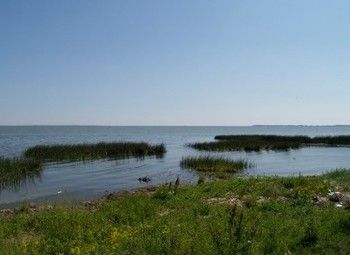 Фото Земельный участок/ берег Калининградского залива