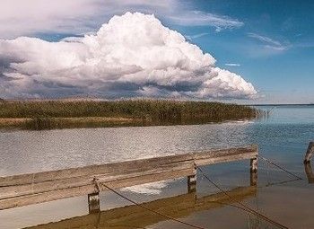 Земельный участок/берег Калининградского залива