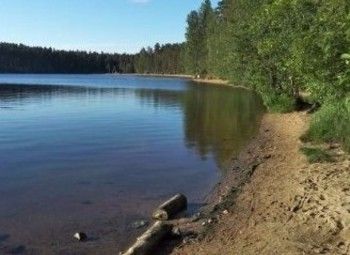 Фото 3 Земельный участок на /берегу Калининградского залива