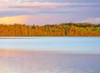 Фото Земельный участок на /берегу Калининградского залива