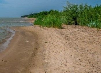 Фото 2 Земельный участок под базу отдыха / Калининград