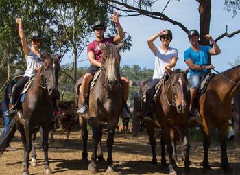 Фото 4 Конный клуб в собственности с землей и строениями. Лучшее предложение!