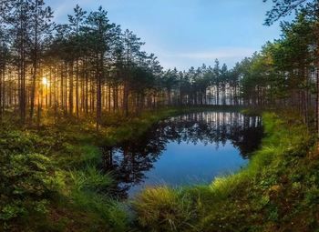 Земельный участок в собственность к югу от города, 60ГА