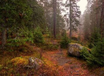 Земельный участок в собственность к югу от города, 60ГА