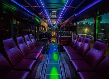 Полностью оборудованный partybus / полный пакет документов