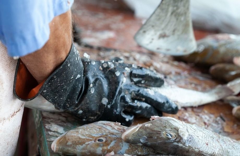 Фото 3 Готовый бизнес Рыбный магазин