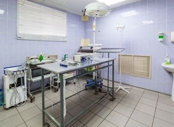 Фото 3 Ветеринарная клиника / 20 лет успешной работы