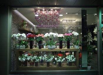 Магазин цветов и вкусных букетов/перспективы дальнейшего развития